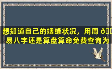 想知道自己的姻缘状况，用周 🌹 易八字还是算盘算命免费查询为你解答！